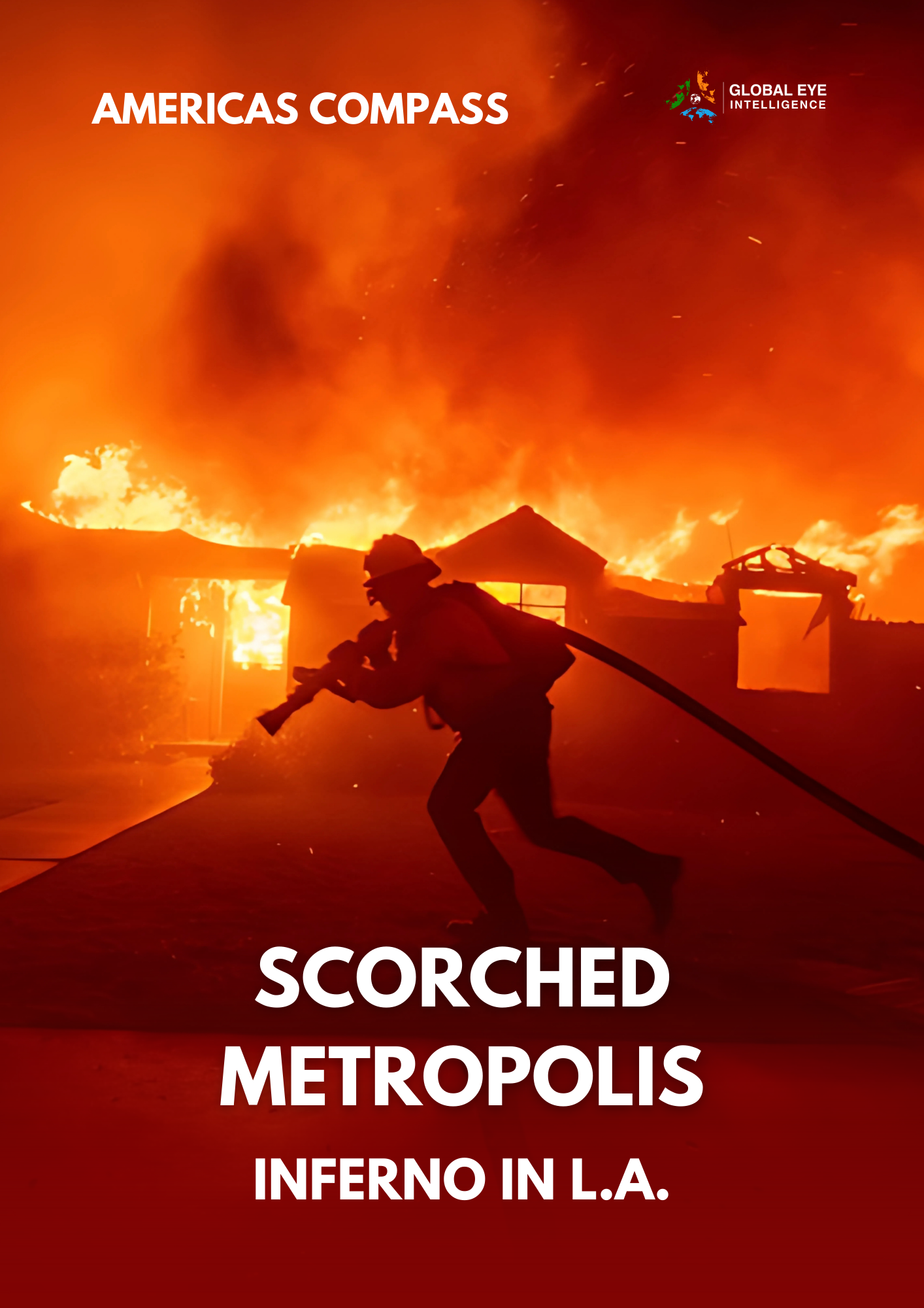 LOS ANGELES WILDFIRES